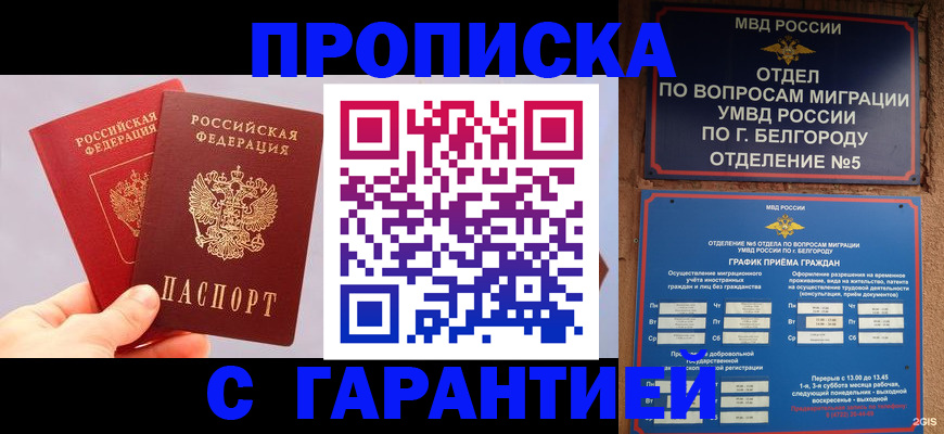 прописка 2025 в Королёве